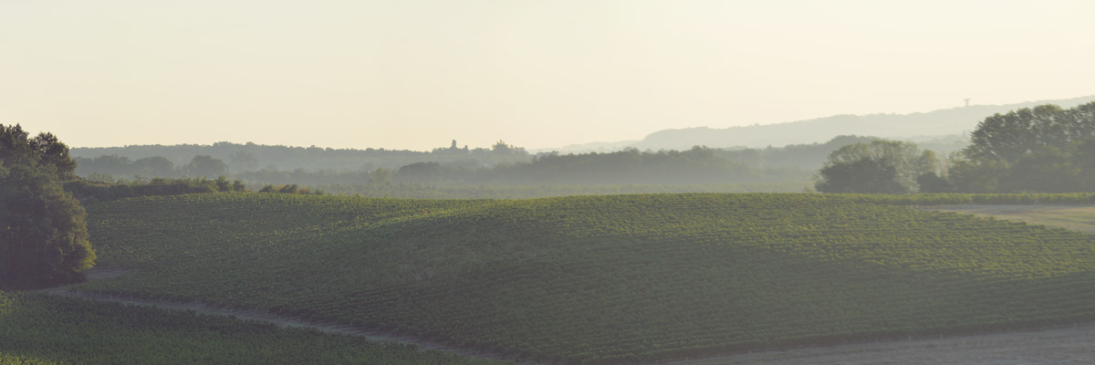 Les Vignerons de Duras