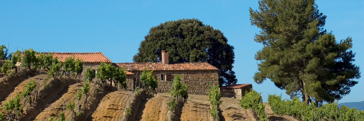 Sant Armettu