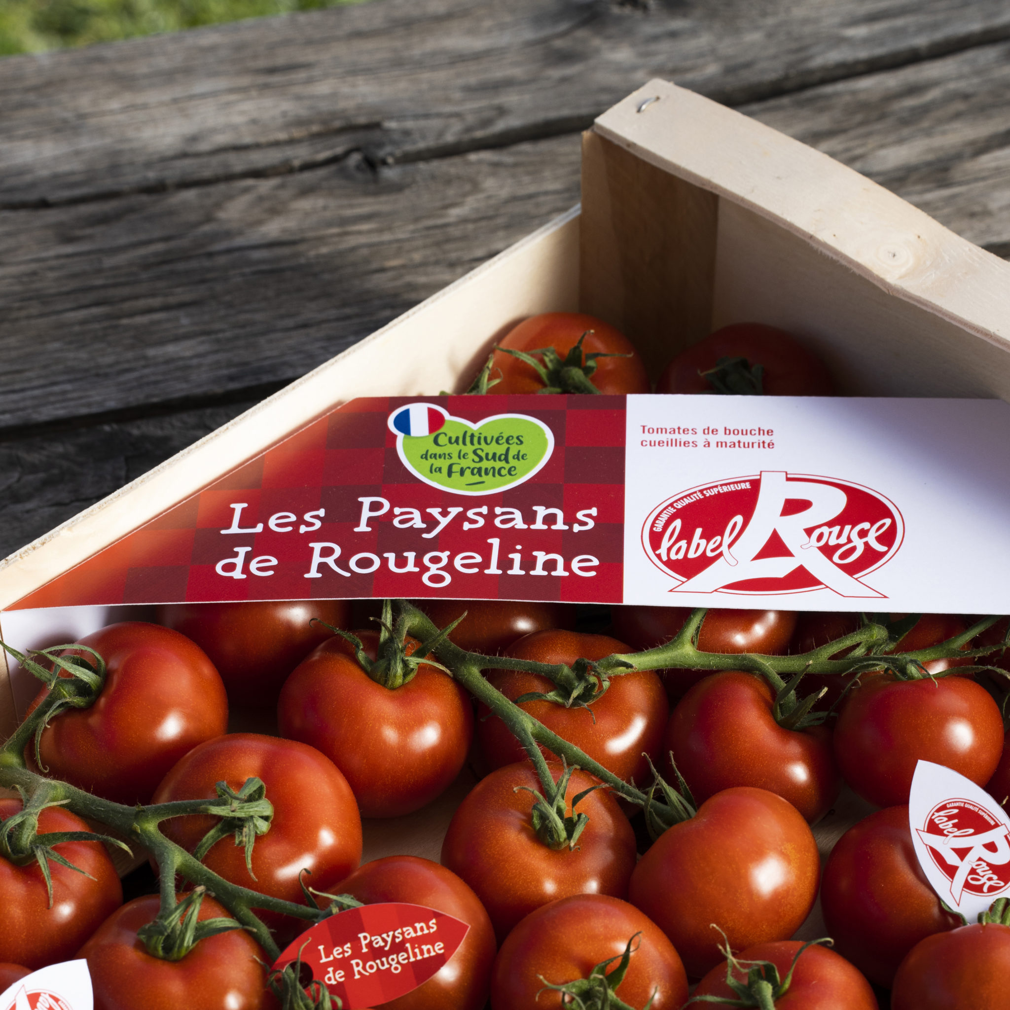 Labre Rouge Enfin une tomate Label Rouge ! - Made in mouse®